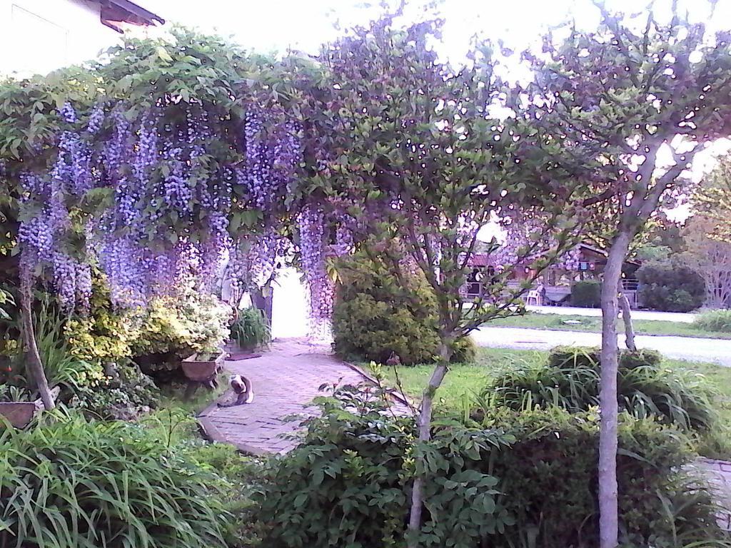 B&B Cm Ranch Cuneo Kültér fotó