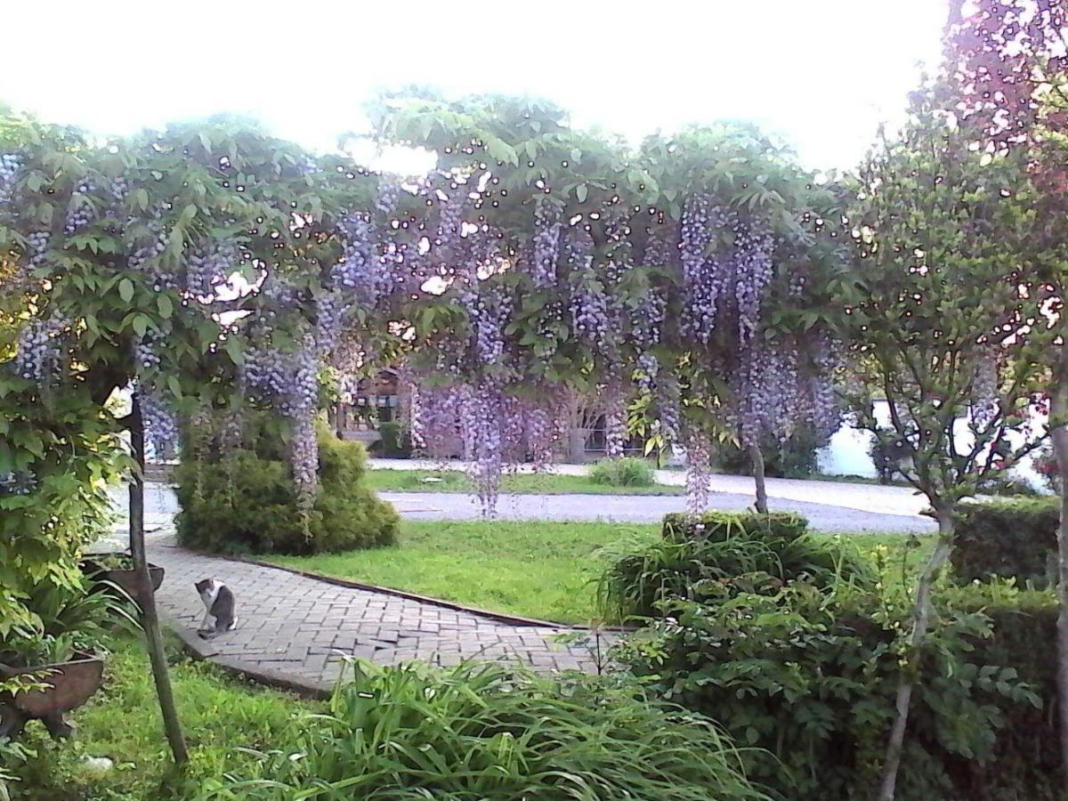 B&B Cm Ranch Cuneo Kültér fotó