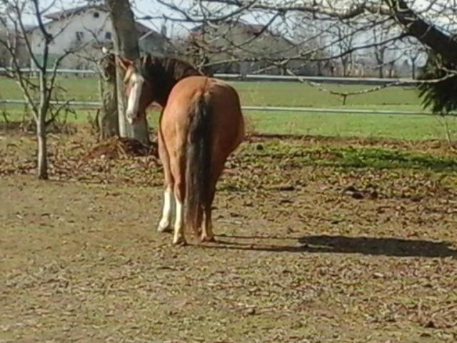 B&B Cm Ranch Cuneo Kültér fotó